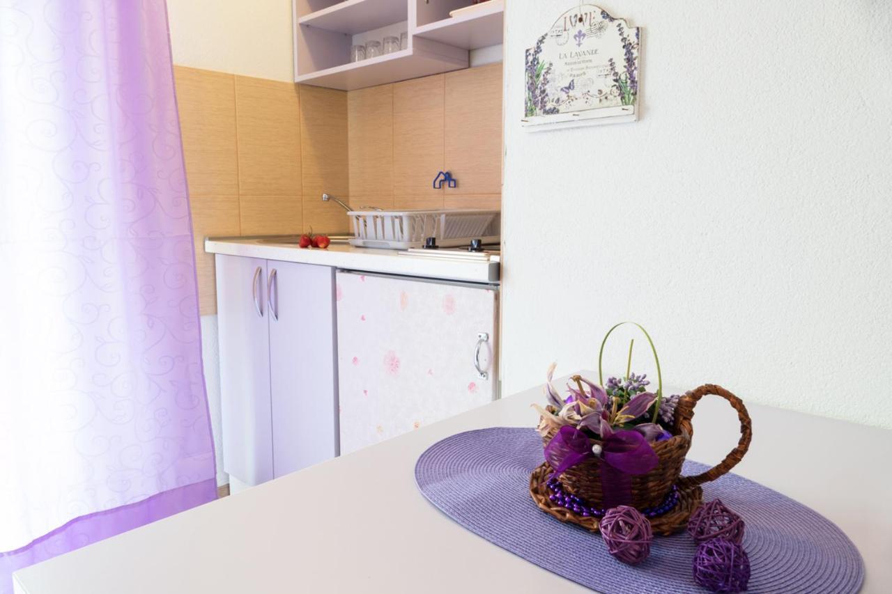 Apartments Maja Sokobanja Extérieur photo