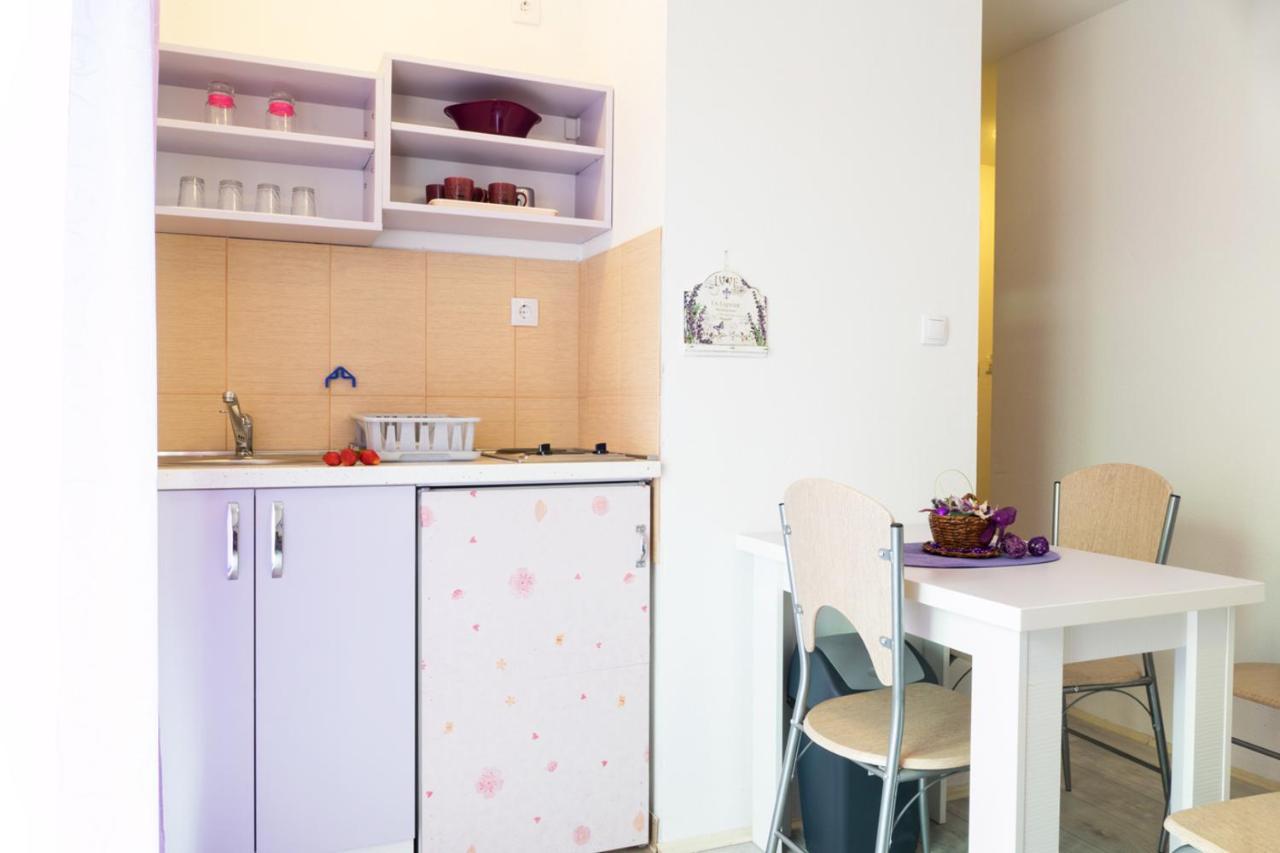 Apartments Maja Sokobanja Extérieur photo